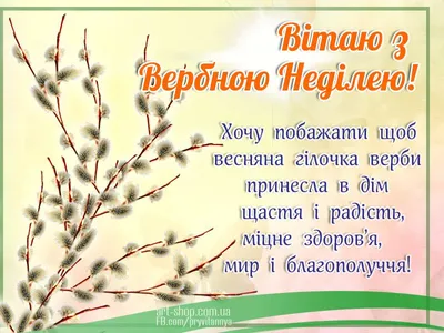 Volodymyr Groysman - Вітаю вірян з Вербною Неділею! Бажаю спокою вашим  серцям, здоров'я родинам та Божого благословення! | Facebook