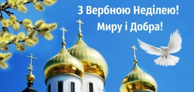 Привітання Міністра освіти і науки України Сергія Шкарлета з Вербною неділею  | Міністерство освіти і науки України