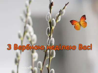 Вітаємо з Вербною неділею!