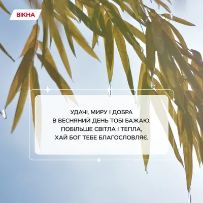 Привітання селищного голови з Вербною Неділею — Савранська селищна рада