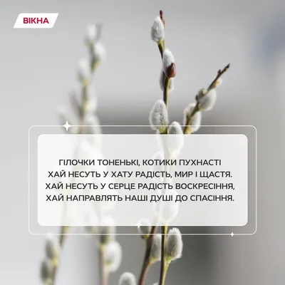 Не забудьте привітати рідних з Вербною неділею | листівки від Інформатора -  Інформатор Івано-Франківськ