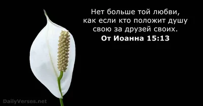 Акции на квартиры в новостройках в Воронеже. Скидки на покупку новых  квартир | «ВЫБОР»