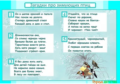 Раскраска Буквы Ё и Ж | Раскраски букв азбуки с животными. Буквы для  раскрашивания