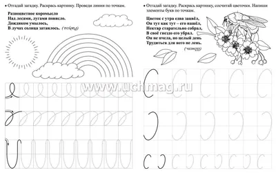 Лесные загадки – Настольные игры – магазин 22Games.net