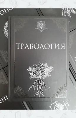 Возвращение в Хогвартс\": какие заклинания из \"Гарри Поттера\" улучшили бы  жизнь сахалинцев - Новости Сахалинской области - astv.ru