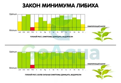 Masa Media | От идеи до подписи президента: Как рождается закон - Издание о  политике, правах и законах Казахстана