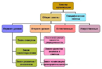 Законы Народного Совета ДНР | Законодательство