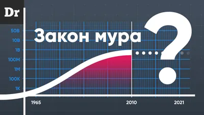 Закон каменных джунглей — Википедия