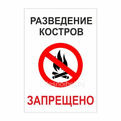 Экологические знаки по экологии | Знаки, Экологическое образование, Лэпбук