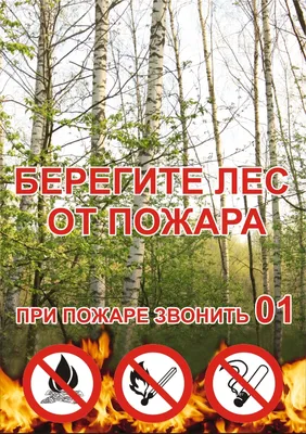 Правила поведения в лесу\" Памятка для детей! » Осинники, официальный сайт  города