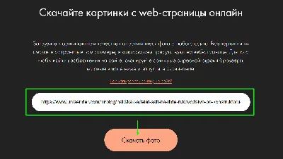 Я всегда был фанатом онлайн-обучения» — Национальный исследовательский  университет «Высшая школа экономики»