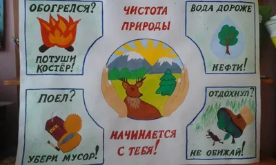 Защитим природу, сохраним себя - Социальное обслуживание населения:  новации, эксперименты, творчество. СОННЭТ.