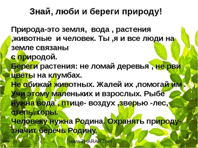 Пять главных причин любить и беречь природу