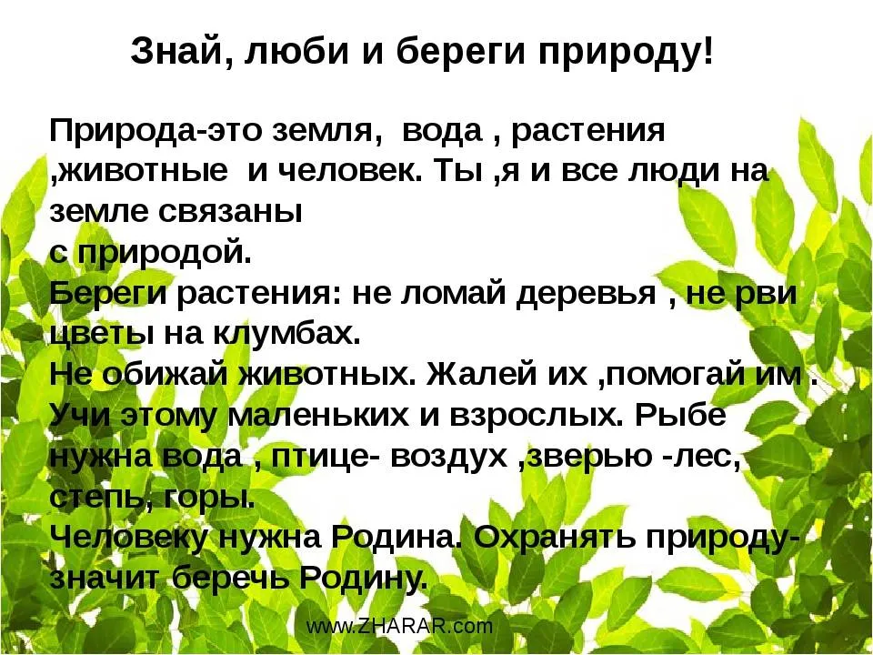 Проект береги природу 6 класс русский язык. Берегите природу сочинение. Рассказ на тему берегите природу. Рассказ на тему как беречь природу. Сочинение на тему беречь природу.