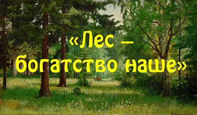 Форум «Сохраним природу вместе»: заставить бюрократию работать |  Общественное движение Зеленых \"Родина\", Зеленая правда