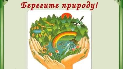 Рисунки по защите природы для детей - 58 фото