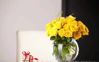 Желтые цветы форзиции цветут на весеннем солнце крупным планом обои, рабочий  стол, обои на стену, закрыть фон картинки и Фото для бесплатной загрузки