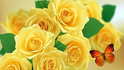 Обои для рабочего стола Желтый тюльпан Цветы