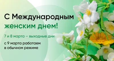 https://dnr-news.ru/society/2024/02/17/624640.html