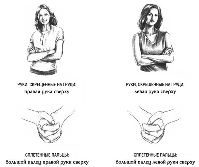 Язык мимики и жестов: как читать эмоции человека в процессе общения?  Инструкция психолога - Чемпионат