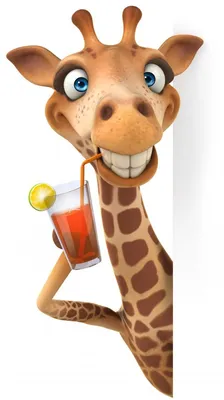 Смешной жираф | Премиум Фото | Giraffe pictures, Funny giraffe, Giraffe