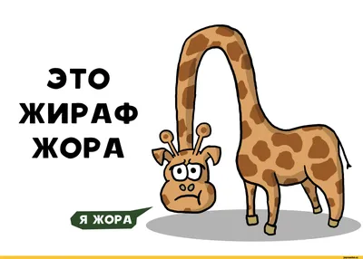 Смешной жираф в близком взгляде Стоковое Изображение - изображение  насчитывающей национально, гулять: 37789791