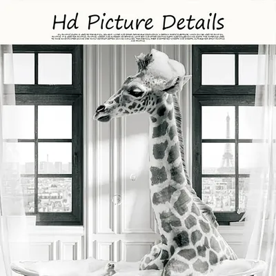 Жираф залез на дерево от испуга, прикольные и смешные картинки, забавные  фото и обои с юмором для рабочего стола, Full HD 1920