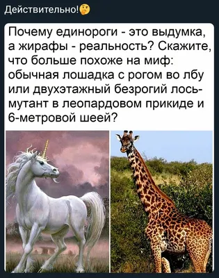 Пятнистая галерея фотографий жирафов (GreenWord.ru)