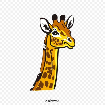 Жираф Лицо Черный Фон — стоковые фотографии и другие картинки Жираф - Жираф,  Юмор, Большой - iStock