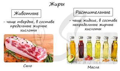 Полезные жиры для организма человека, какие продукты есть с высоким  содержанием жира - 9 мая 2021 - 59.ру