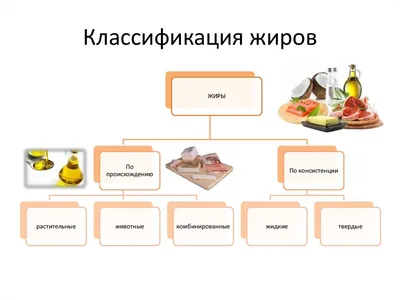 Вредные и полезные жиры в продуктах — Актуальная тема