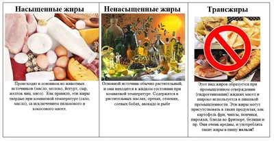 15 продуктов, богатых полезными жирами: в каких продуктах содержатся жиры,  как их правильно принимать по мнению врачей