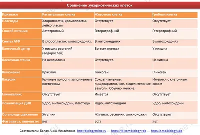 Отличия клеток разных организмов | ЕГЭ Биология | Дзен