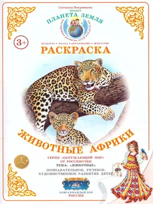 Аппликации на липучках «Африканские животные» - Скачать шаблон | Раннее  развитие