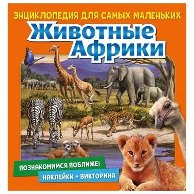 Животные Африки в интернет-магазине на Ярмарке Мастеров | Мягкие игрушки,  Санкт-Петербург - доставка по России. Товар продан.