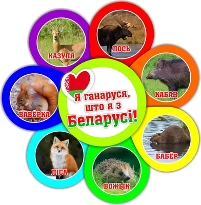 Стоит ли исключать зубра, рысь и медведя из Красной книги Беларуси