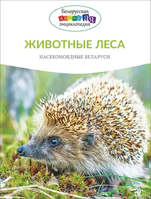 В Беларуси могут разрешить охоту на редких животных (Пресса) Энциклопедия о  животных EGIDA.BY