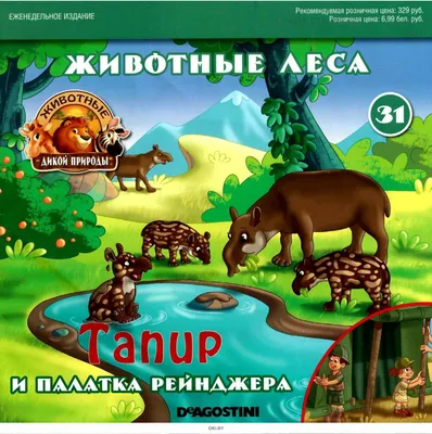 Животные Беларуси: характеристика, виды, описание и фото