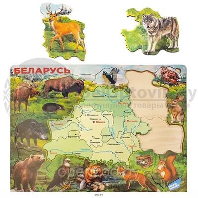 Популяцию туров в Беларуси восстанавливают: в заказнике «Средняя Припять»  обитает 19 туроподобных животных