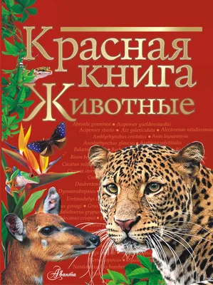 1860 Красная книга, моя Беларусь, растения, животные, птицы.