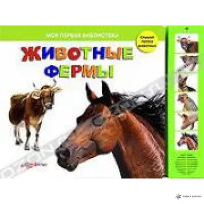 Животные фермы. Детская энциклопедия (новая обл.) | 9785353089834 - Klyaksa  – Klyaksa US