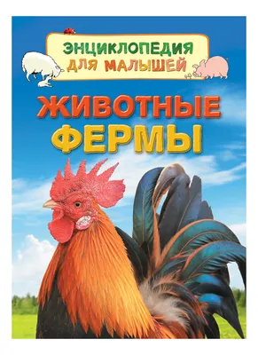 Энциклопедия для маленьких почемучек. Животные фермы - ABC Books and Gifts