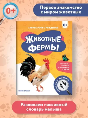 Аппликации на липучках «Домашние животные» - Скачать шаблон | Раннее  развитие