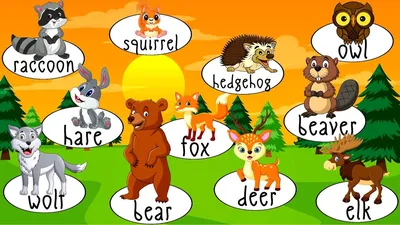 Картинки животных для изучения английского языка в школе