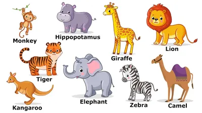 Учим английский. Дикие животные. Wild animals. Учим название диких животных  на английском. Часть 2. - YouTube