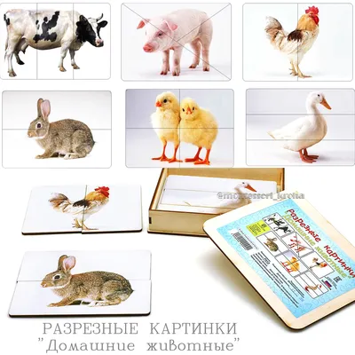 животное и что едят они – Google Поиск | Kindergarten learning activities,  Food animals, Kindergarten learning