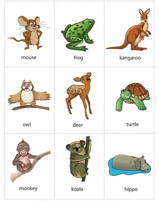 Карточки с картинками \"Животные\" на английском языке