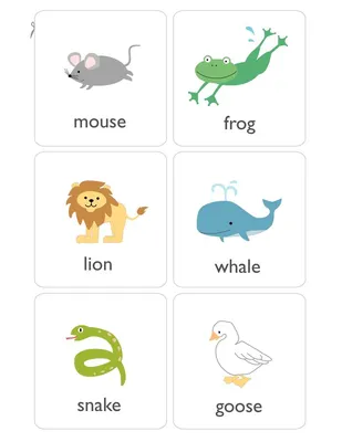 Звуки животных на английском - с картинками и переводом | EnglishFish