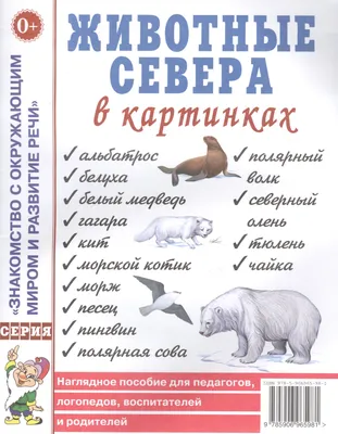 Животные севера в картинках. Наглядное пособие для педагогов, логопедов,  воспитателей и родителей - купить книгу с доставкой в интернет-магазине  «Читай-город». ISBN: 978-5-90-696598-1