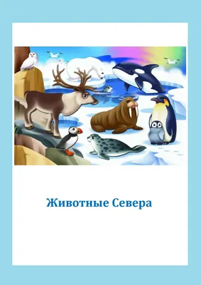 ВЕСНА Фигурки животных леса , домашние , животные севера 18 шт